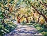 The Path Through the Oaks at Descanso II